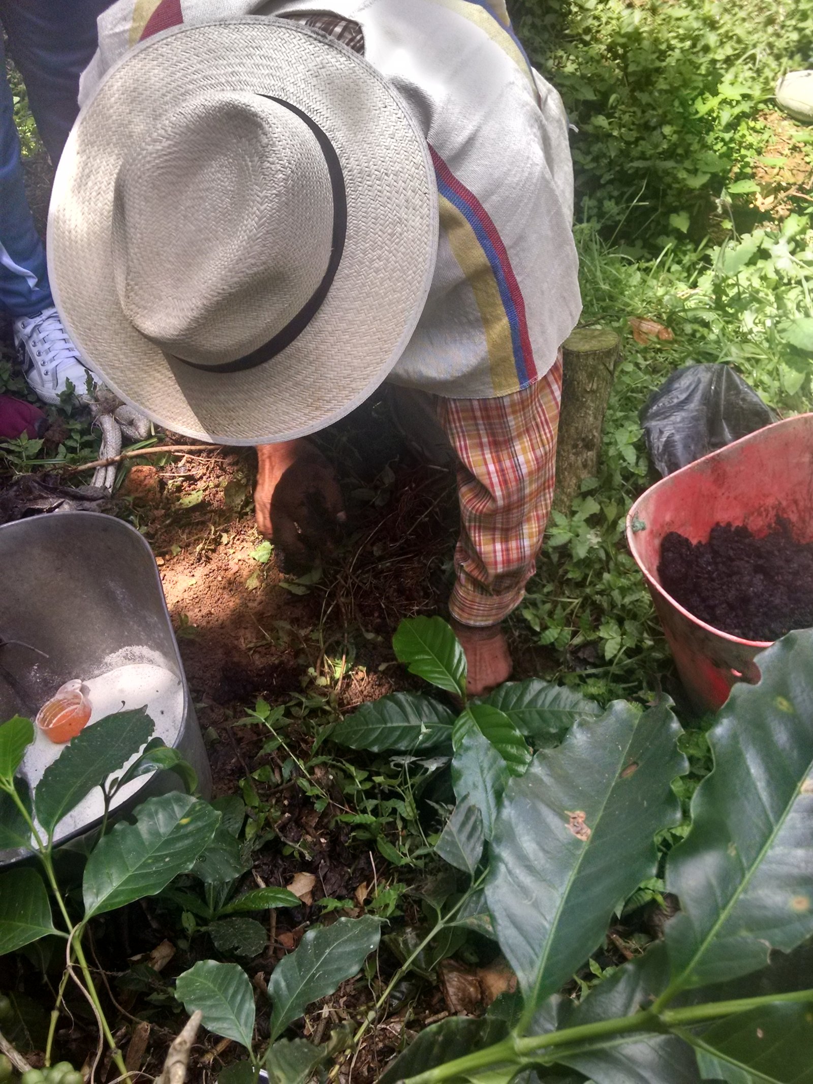 Caficulteur partenaire dans les terroirs de Colombie