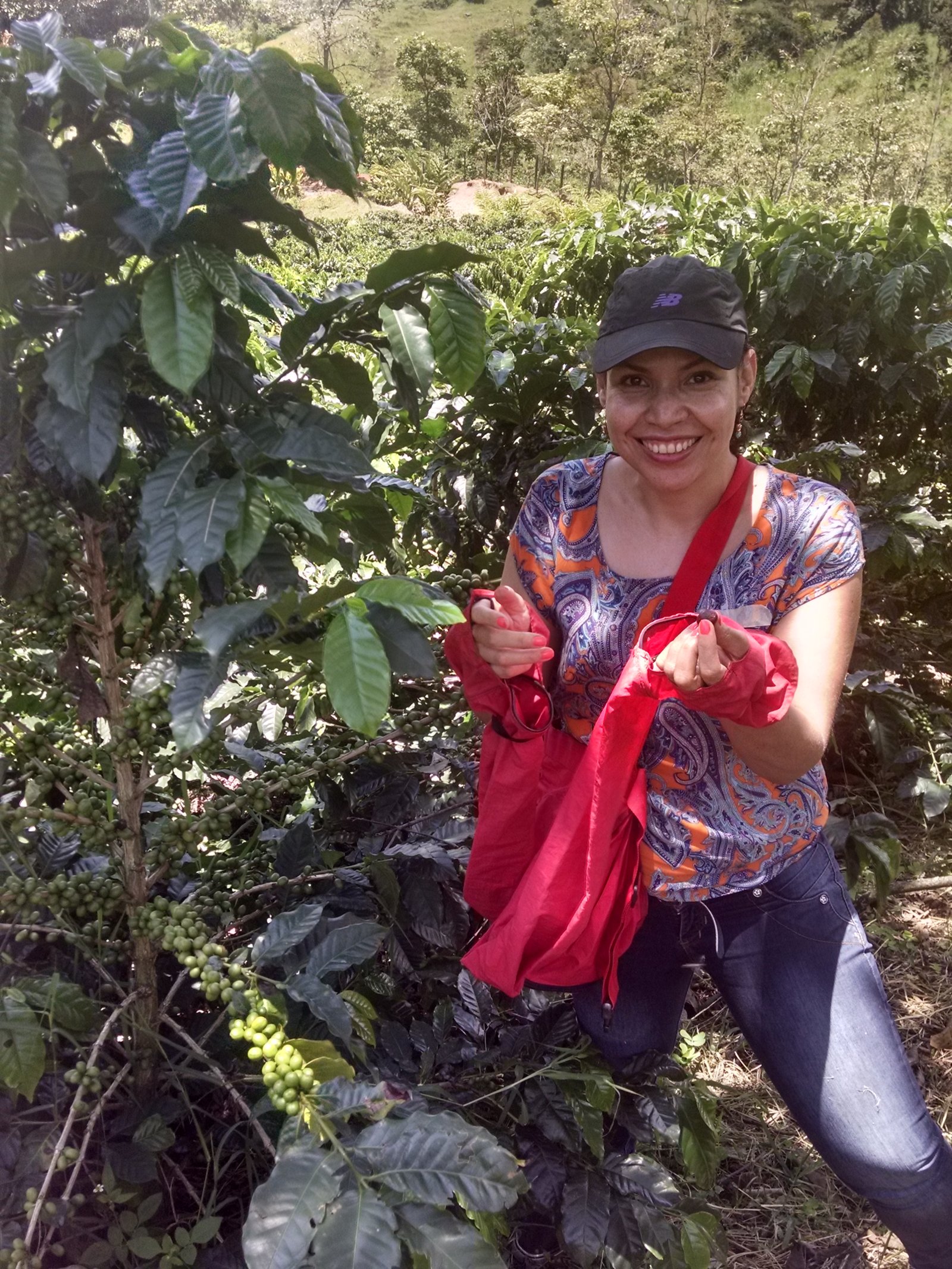 Mónica dans les plantations de café en Colombie